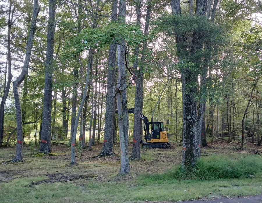 excavation and dirt work 3