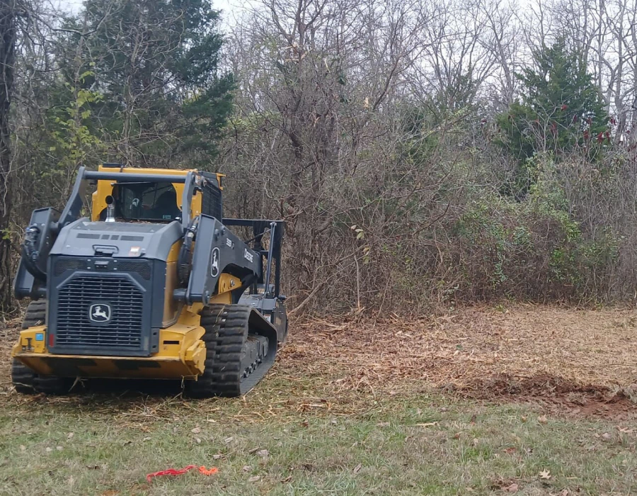 forest mulching 2